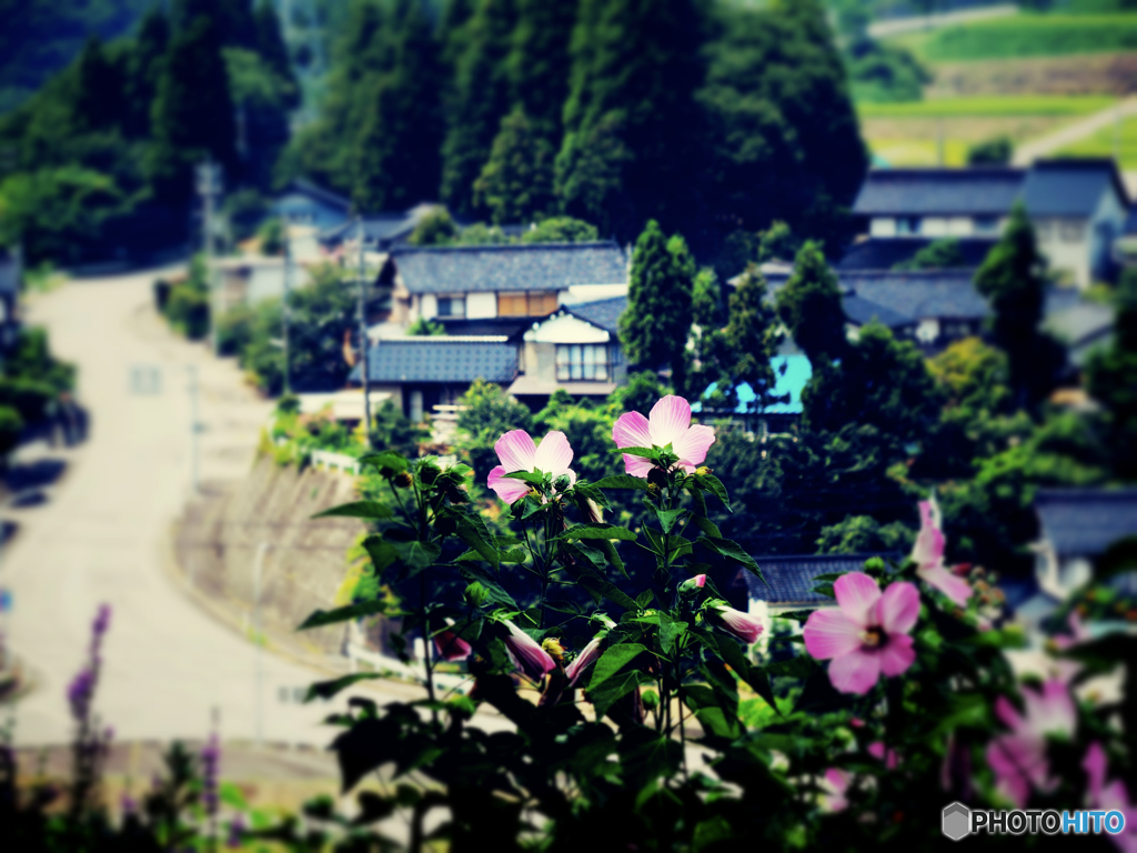 里を望む