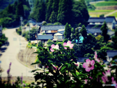 里を望む