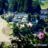 里を望む