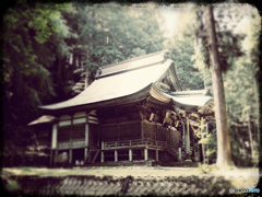 森厳