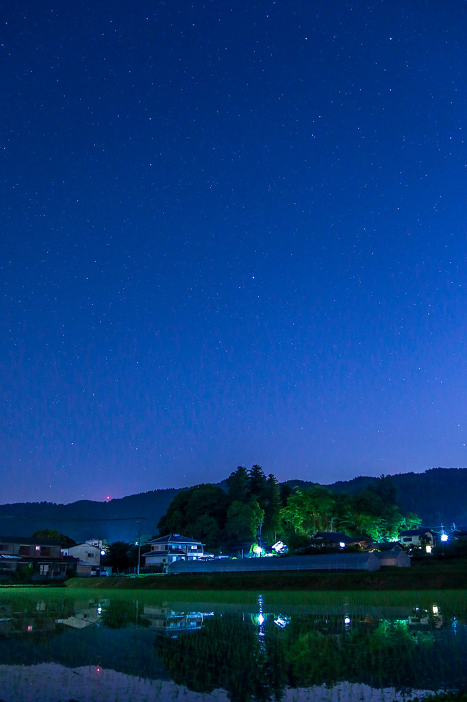 星と田んぼ