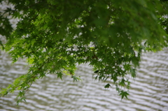 image...one