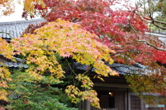 石油王の館(庭編③)