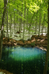 美人林の池②