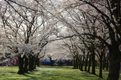 村松公園⑫