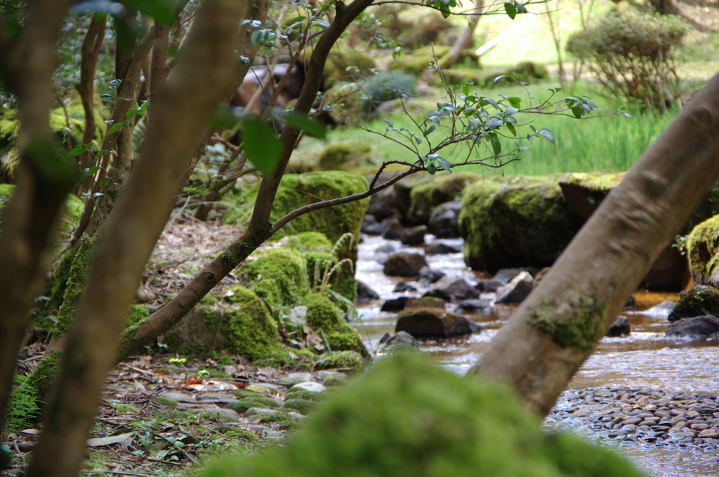赤坂山公園⑤