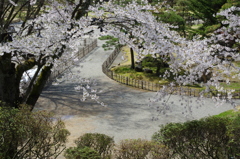 鶴ヶ城境内⑩