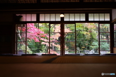石油王の館(御殿編①)