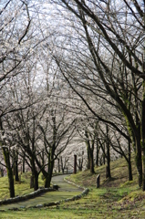 村松公園24