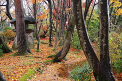 長岡紅葉園①