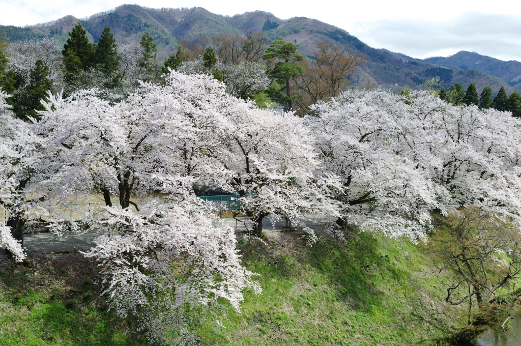 鶴ヶ城境内⑨