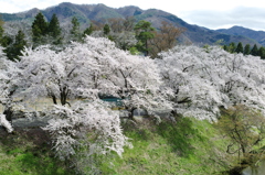 鶴ヶ城境内⑨