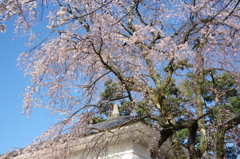 村松公園⑩