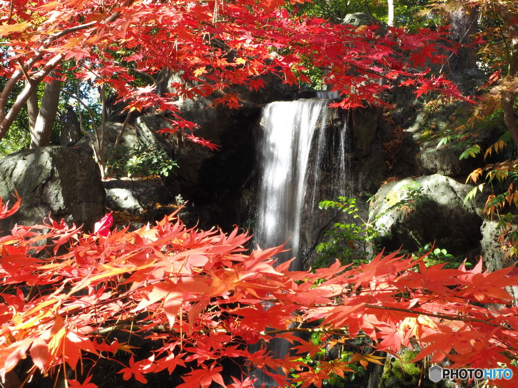 庭園小滝
