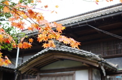 石油王の館(庭編⑨)