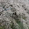 鶴ヶ城境内⑳