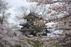 高田公園③