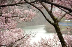 高遠城址公園⑤