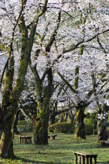 村松公園③