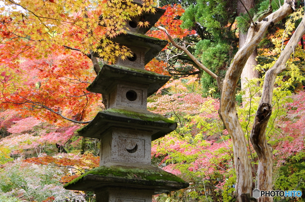 石油王の五重灯篭