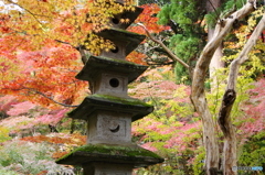 石油王の五重灯篭