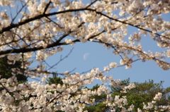 村松公園⑳