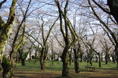 村松公園⑦