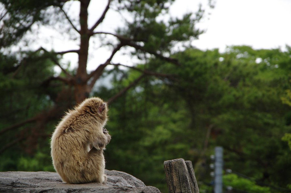 独りぼっち。