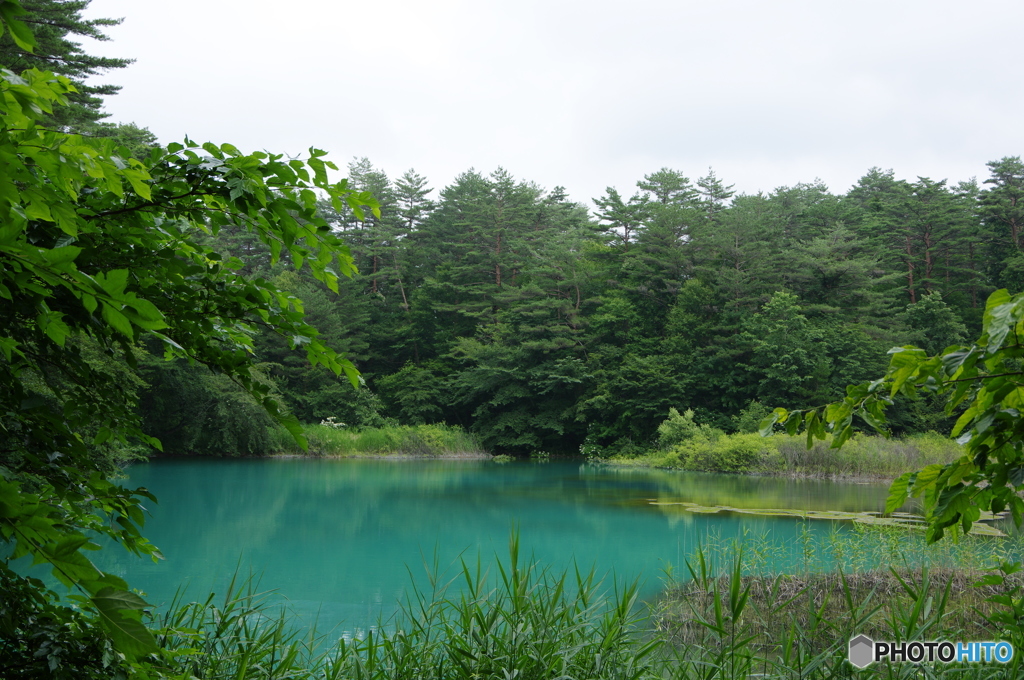 青沼⑥