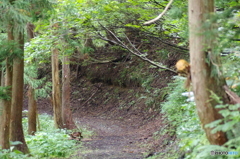 清津峡遊歩道入口