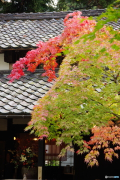 石油王の館(庭編⑫)