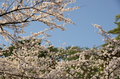 村松公園⑲