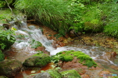 るり沼の側