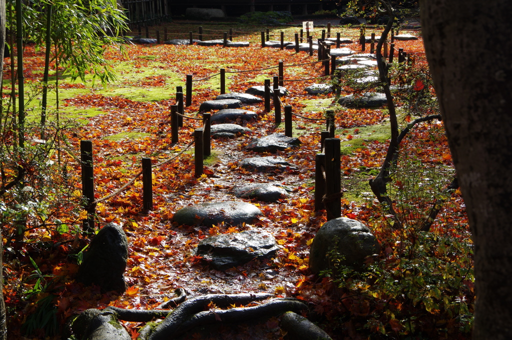 長岡紅葉園②