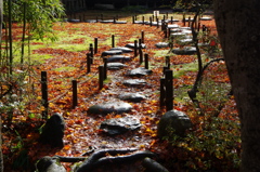 長岡紅葉園②