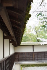 鶴ヶ城境内③