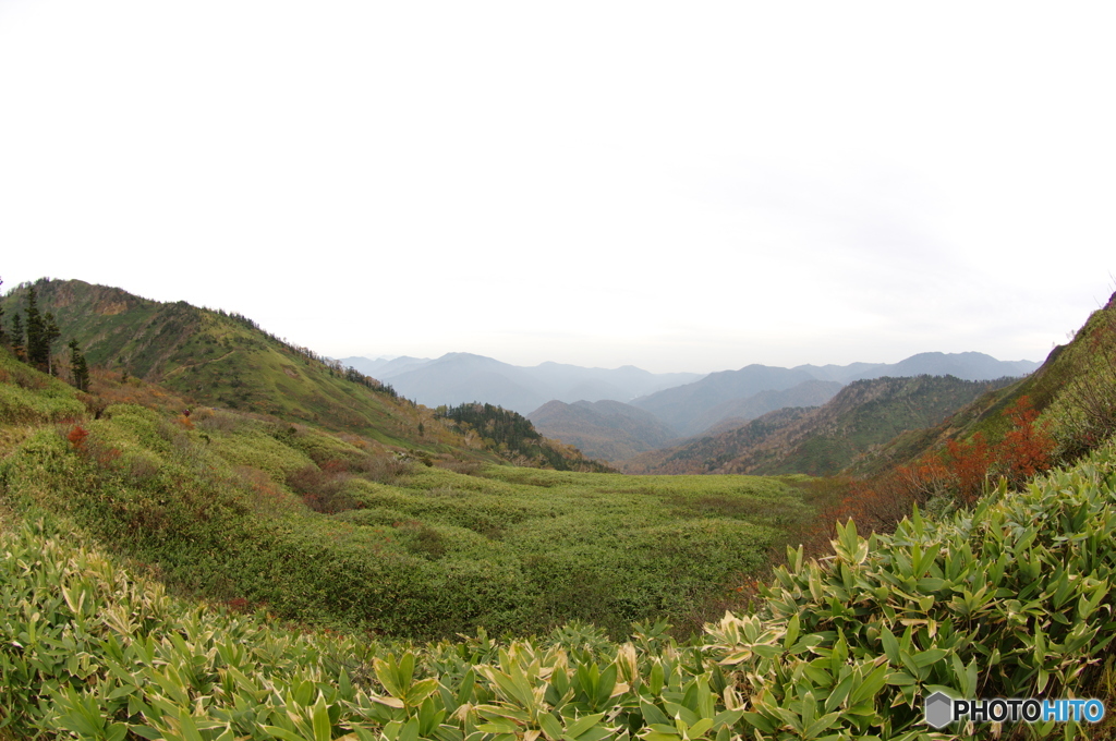 居心地