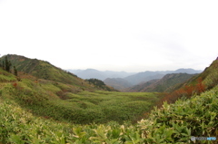 居心地