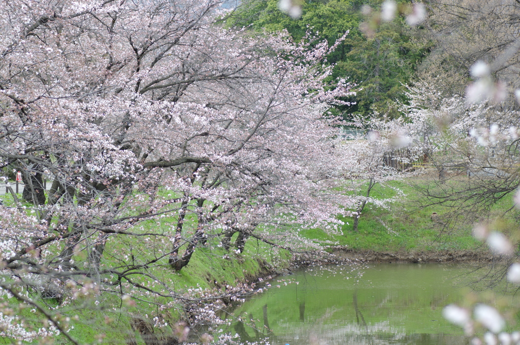 上田城跡公園②