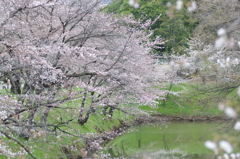 上田城跡公園②