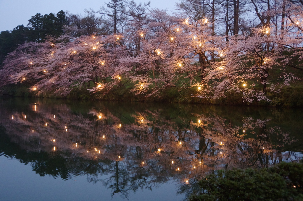 高田公園ライトアップ⑧