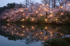 高田公園ライトアップ⑧