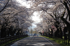 村松公園①