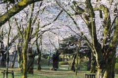 村松公園②