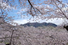 鶴ヶ城境内⑧