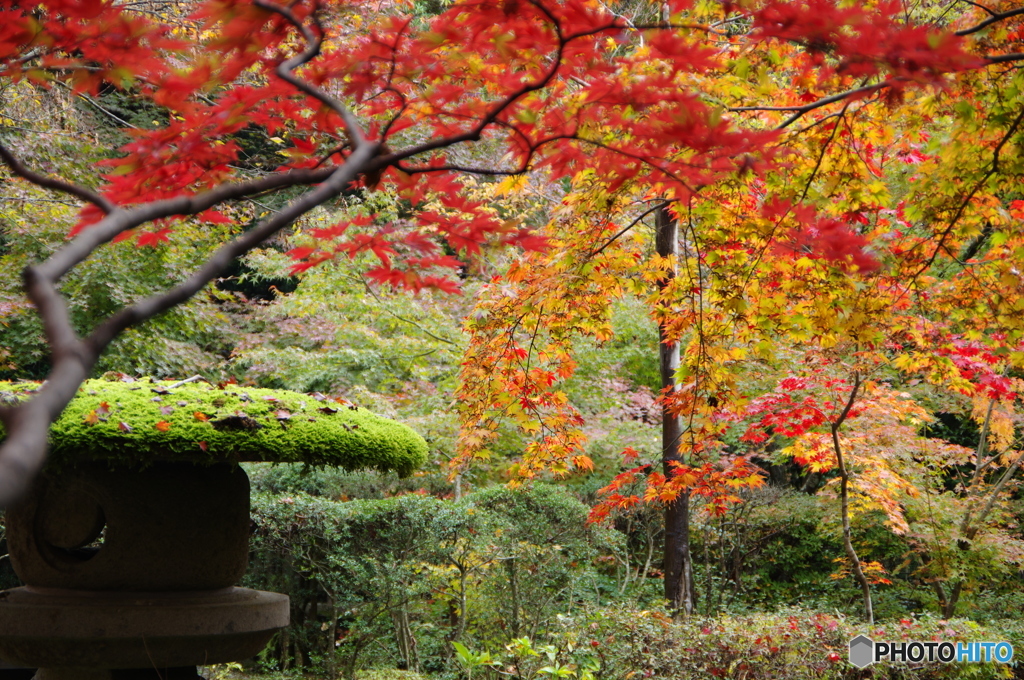 石油王の館(大庭園編③)