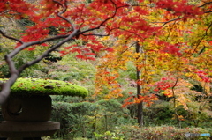 石油王の館(大庭園編③)