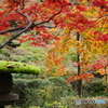 石油王の館(大庭園編③)