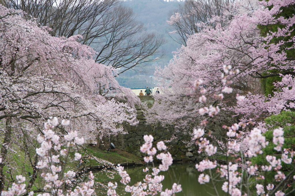 上田城跡公園④
