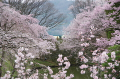 上田城跡公園④